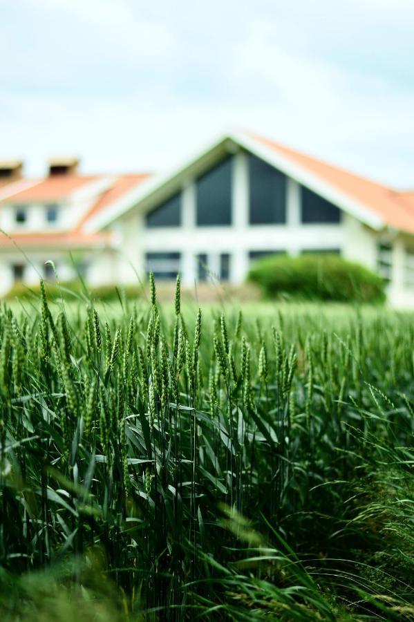 Katrinebergs Folkhoegskola B&B Vessigebro Exterior photo